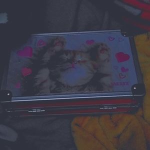 A makeup box/whatever cat edition